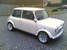 Rachel's Green Mini 1000 (A Reg)